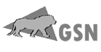 GSN
